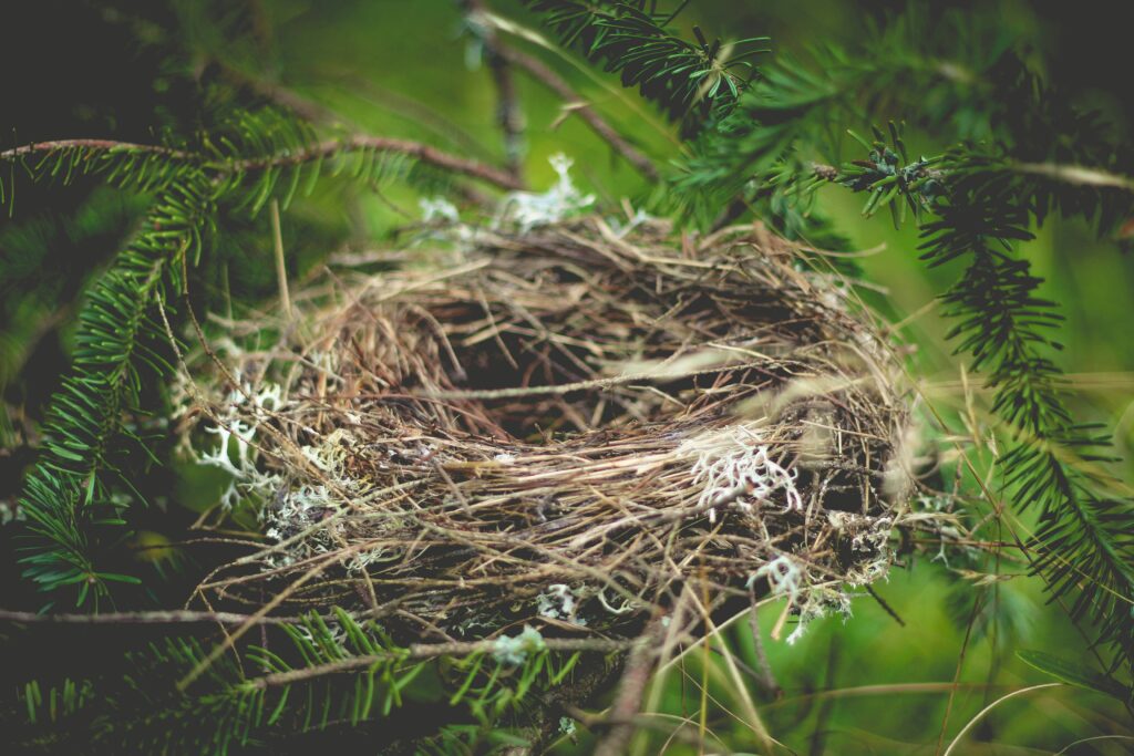 Parents can feel a sense of depression, anxiety, and loss when their kids leave the nest. 