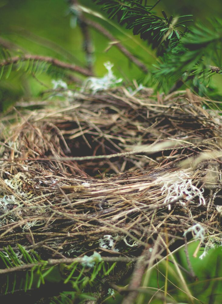 5 Helpful Ways to Navigate Empty Nest Syndrome